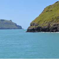 Akaroa - New Zealand 