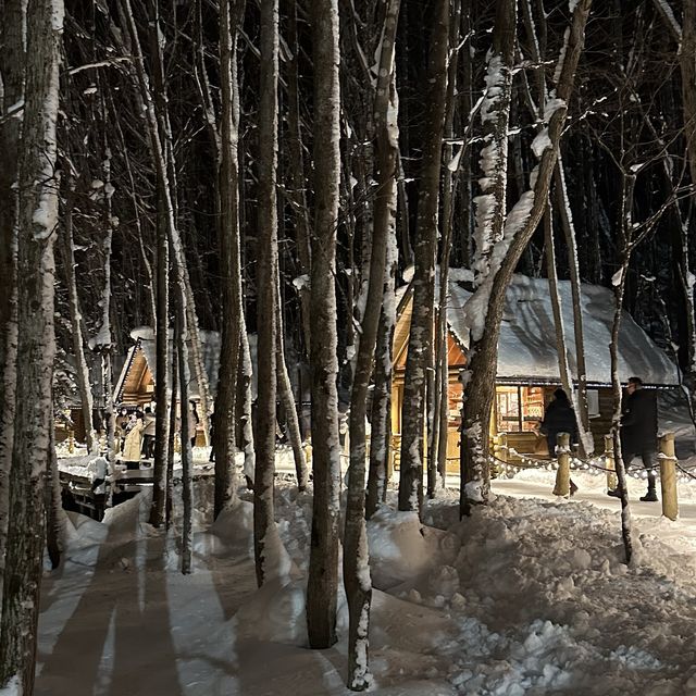 요정들이 살 것 같은 닝구르테라스 🏠