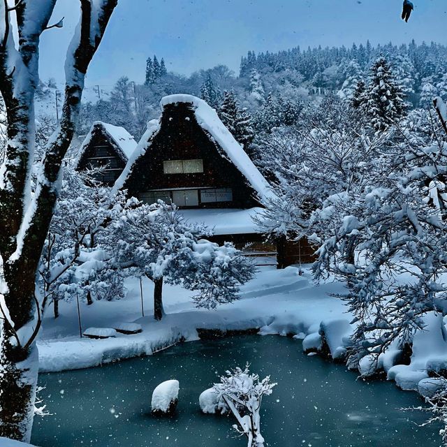 Snow Magic in Shirakawa-go