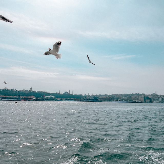 歐亞交界既海峽遊❤️
