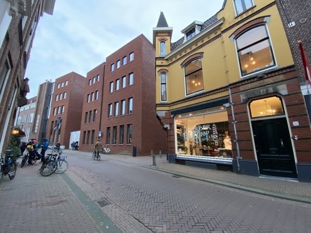 荷蘭🇳🇱休閒小鎮Haarlem攻略