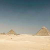 8th Wonder of the World! 
