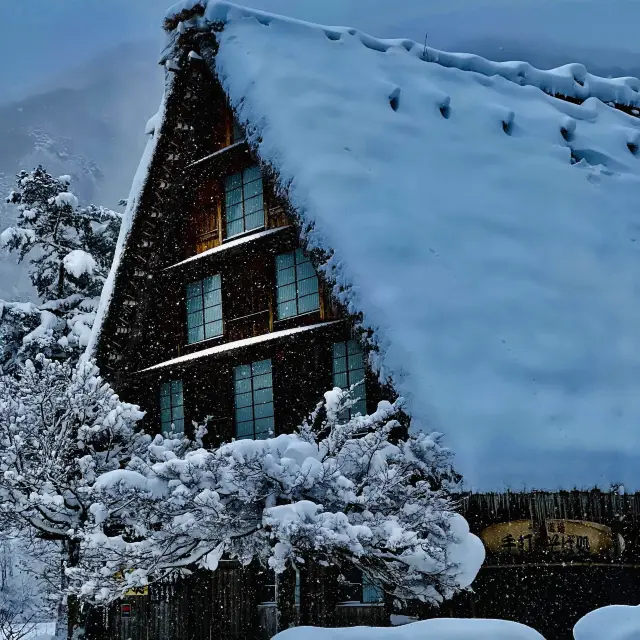 Snow Magic in Shirakawa-go