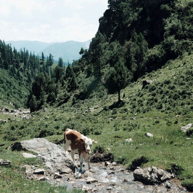 Beautiful Qilian county in North-Qinghai