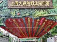 Shanghai Natural Wild Insect Kingdom 