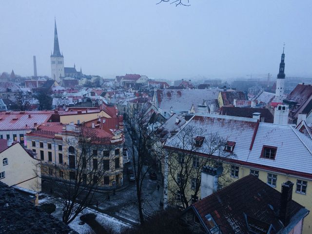 The Old Town of Tallinn, Estonia 🇪🇪✈️