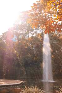 尋找鬧市中的寧靜 - 九龍公園