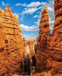 Bryce Canyon National Park from your perspective and senses.