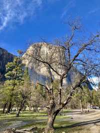 California | Yosemite National Park Photo Sharing 2