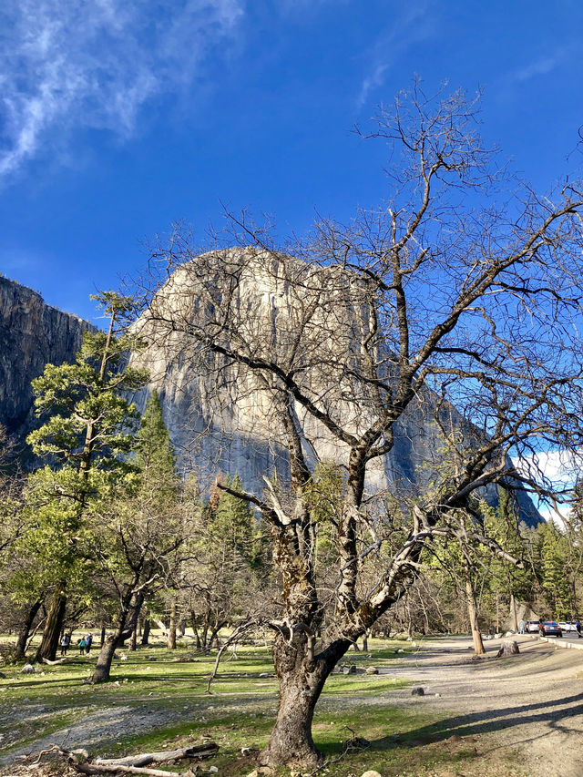 California | Yosemite National Park Photo Sharing 2