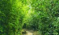 Outing destination recommendation | Yuanquan Ancient Trail hiking route recommendation