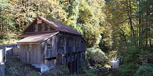 PAWA Paints Grist Mill 2023 (Woodland) | Cedar Creek Grist Mill