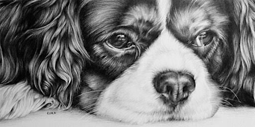 Shading in Black Pencil | Toronto Community Centenary Hub