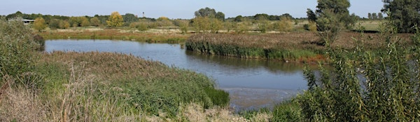 Ingrebourne Monthly Wildlife Walking Safari for Adults | Ingrebourne Nature Discovery Centre