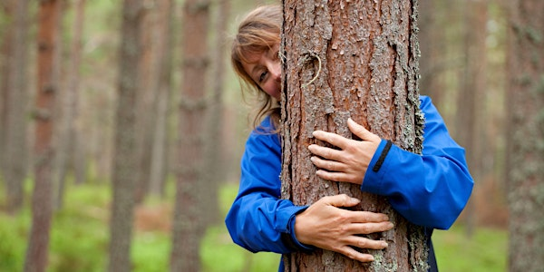 Forest bathing at Glenarm | Glenarm Car Park