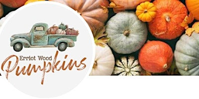 Erriot Wood Pumpkins | Erriot Wood Pumpkins