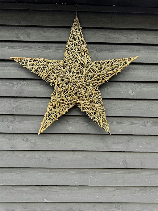 Weave a giant willow star (ECC 2806) | Foxburrow Nature Reserve.