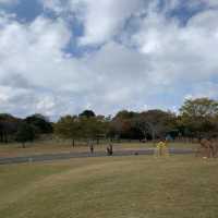 草間彌生　霧島アートの森