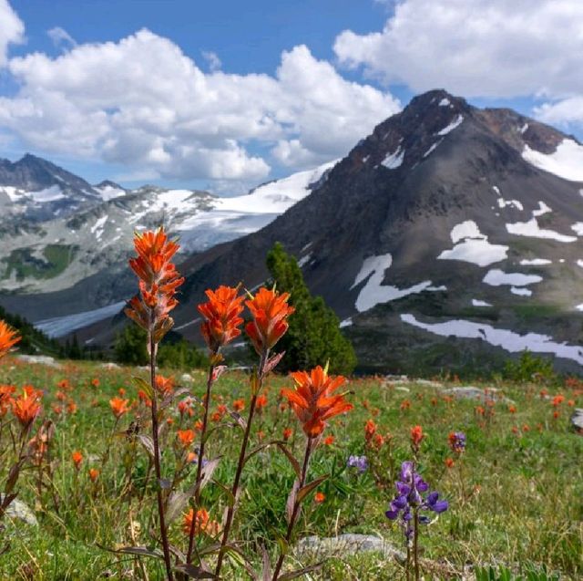 Whistler – Traverse The Hiking Trails