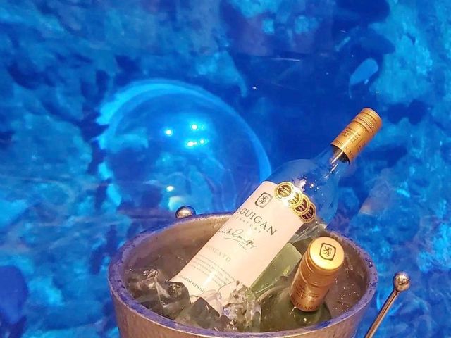 超靚水族館餐廳