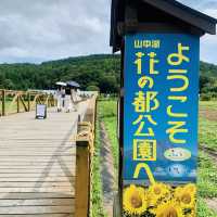 【山梨】山中湖 花の都公園