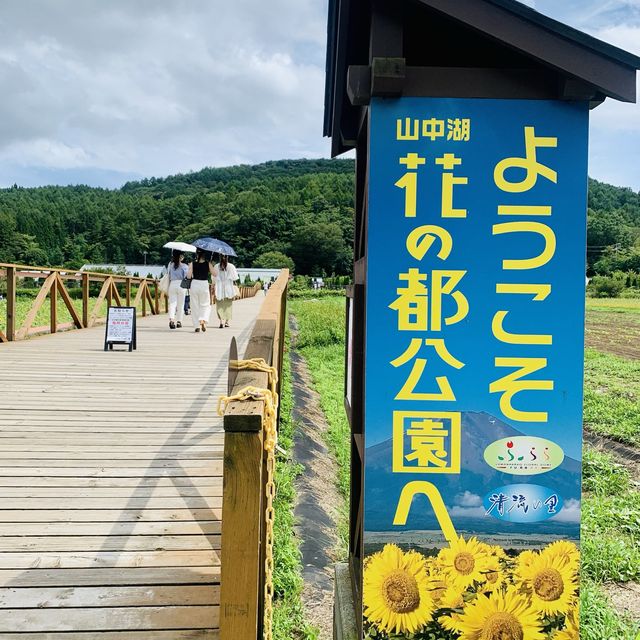 【山梨】山中湖 花の都公園