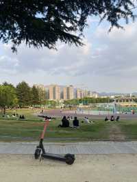 한국의 센트럴파크 🏝 전트럴파크 