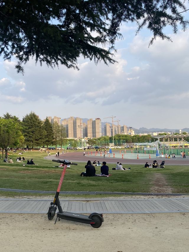 한국의 센트럴파크 🏝 전트럴파크 