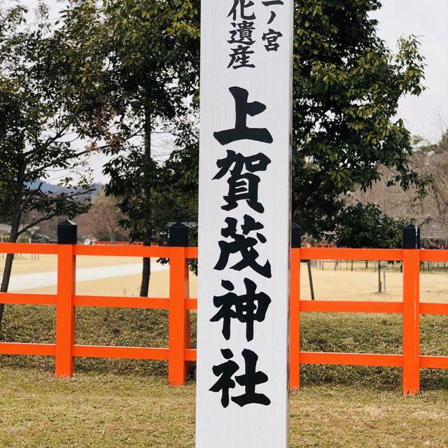上賀茂神社⁉️