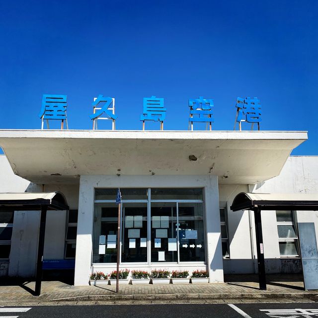 空路で行く屋久島✈️