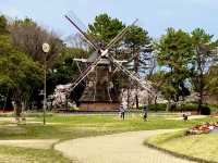 名城公園＆名古屋城でお花見🌸🌸