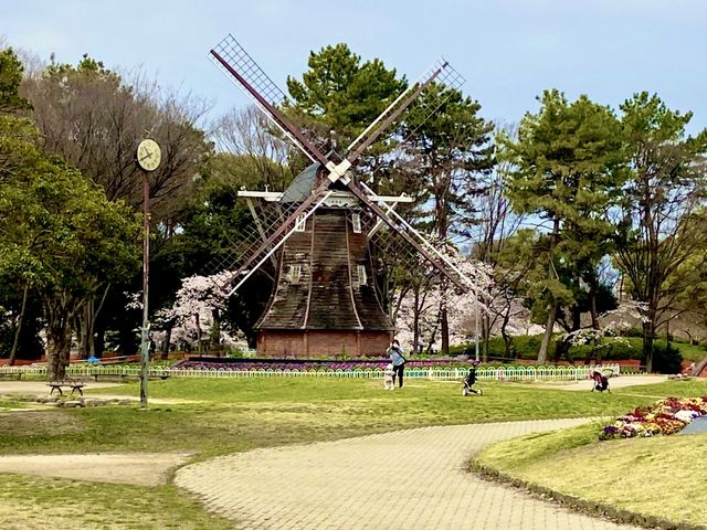名城公園＆名古屋城でお花見🌸🌸