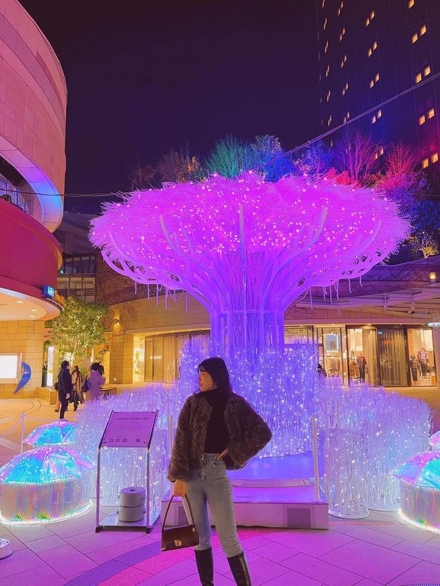 Osaka Best Places to See Winter Illumi ✨