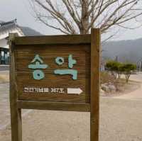 고창여행 송악