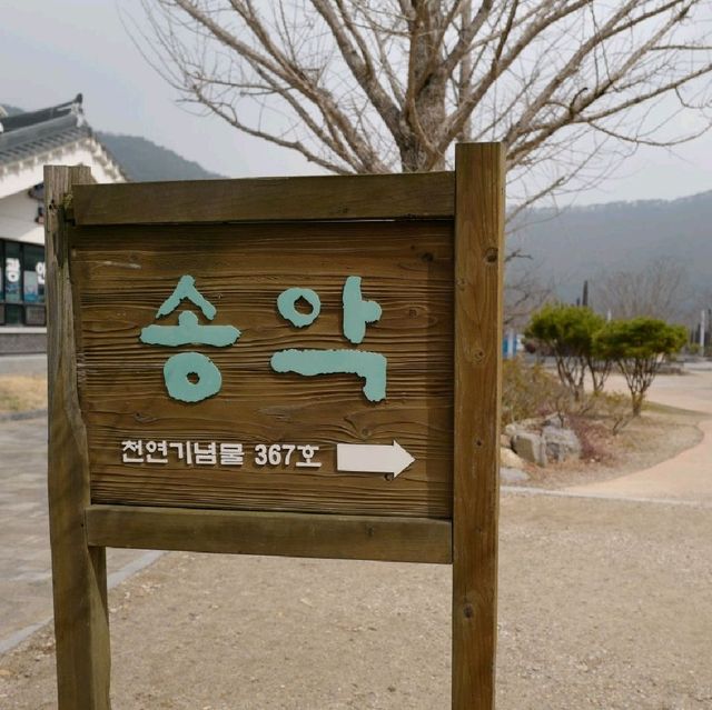 고창여행 송악