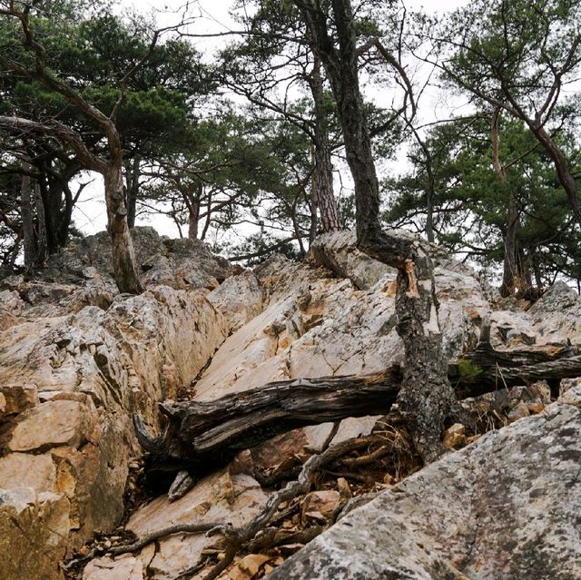 춘천 삼악산 등산