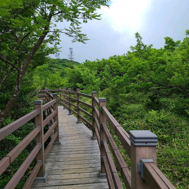 1100고지 습지탐방로