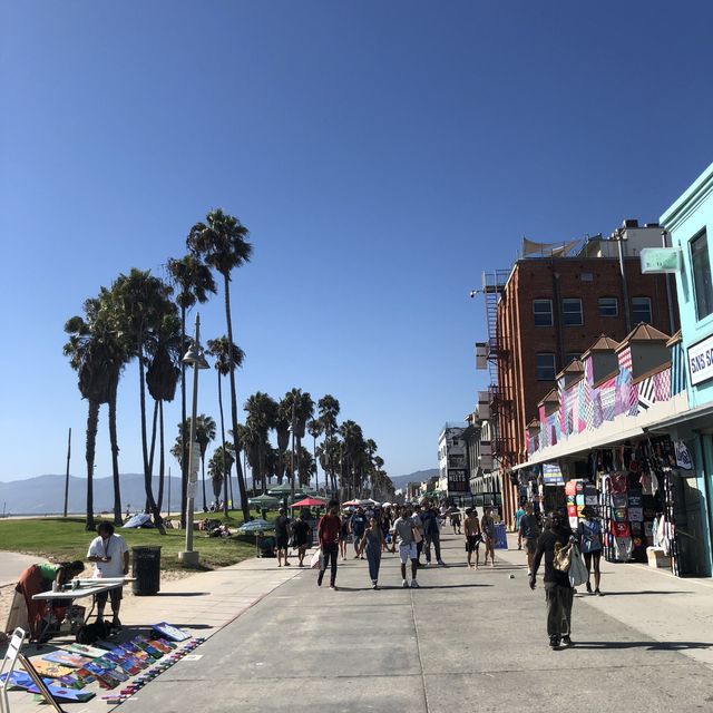 venice beaches 