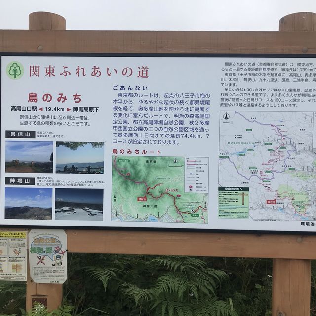 陣馬山〜高尾山で縦走デビュー！