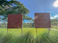 ARTISAN x 123 glamp ค่าเฟใต้ต้นไม้ใหญ่ 