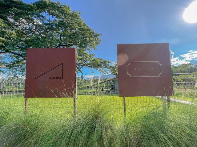 ARTISAN x 123 glamp ค่าเฟใต้ต้นไม้ใหญ่ 