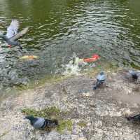 泰國曼谷後花園