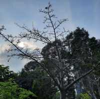 將軍澳坑口文曲里公園