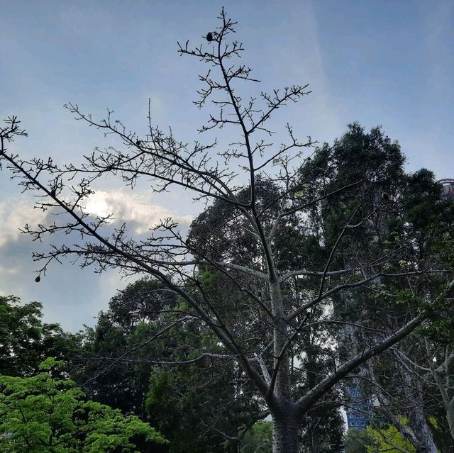 將軍澳坑口文曲里公園