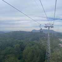 1 day trip in Dalat - มาเที่ยวดาลัดกันเถอะ 🇻🇳
