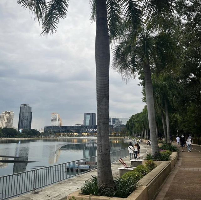 สวนป่าเบญจกิติ