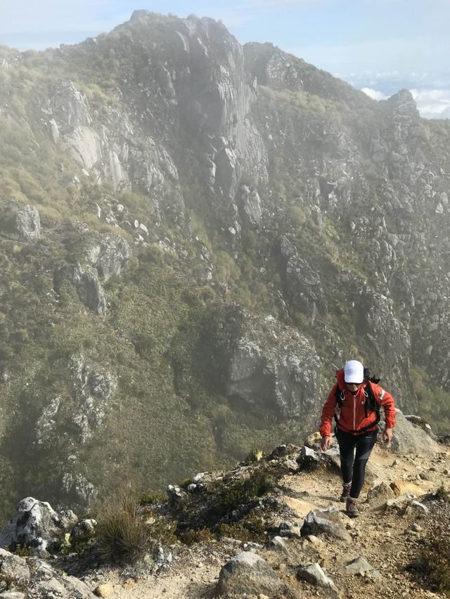 Philippine Grandfather Mountain Apo