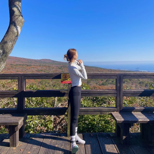 바다반 산반⛰