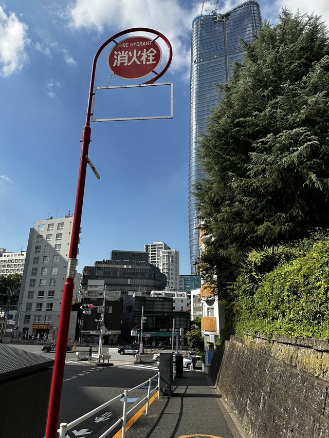 도쿄타워 배경으로 사진찍을수있는 스팟🗼