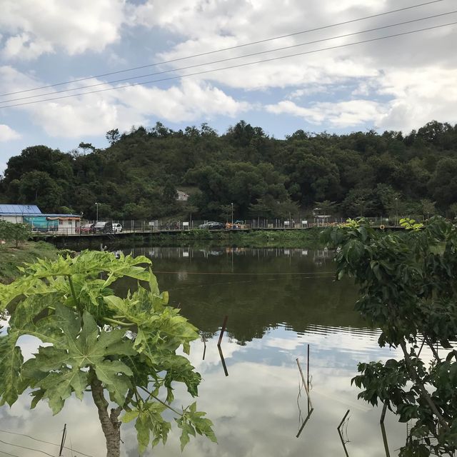 上水馬草壟南屋仔一天遊